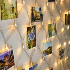 192 LED 6.6 Foot X 9.8 Foot Warm White LED Net Light Set - Mesh Lights